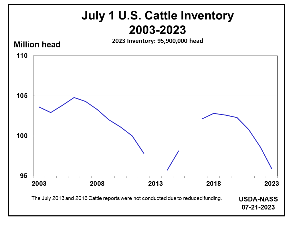 July USDA Cattle Inventory Down 3 Percent