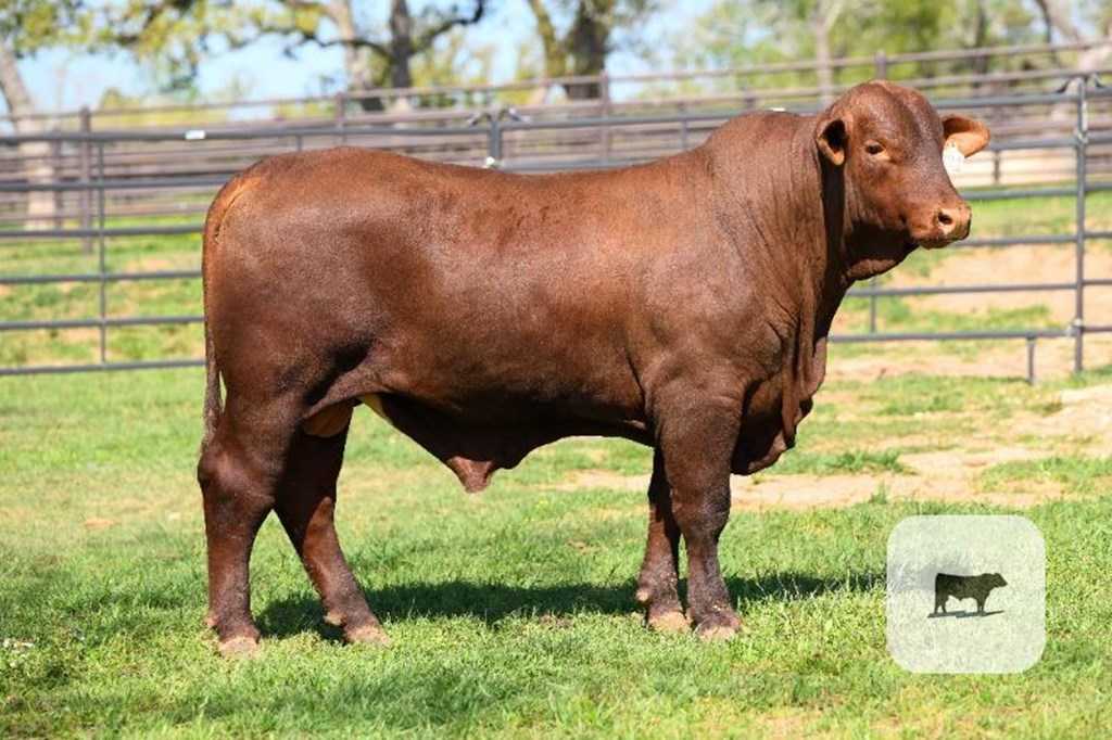 Cattle Range Listing Photo