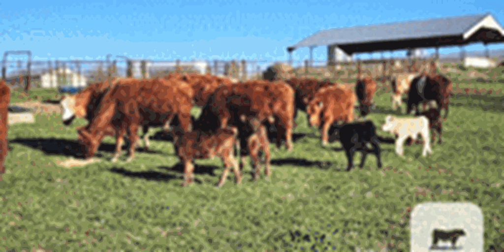 Listings Cattle Range