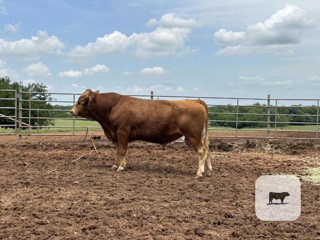Cattle Range Listing Photo