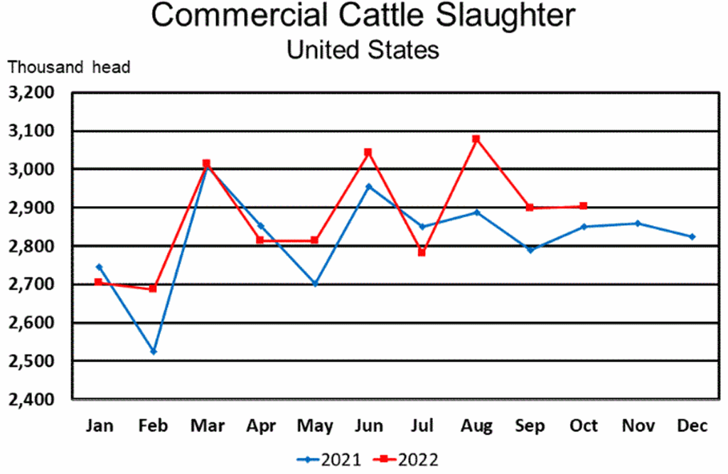 Total Red Meat Production Up Slightly; Beef Production Up 2 Percent