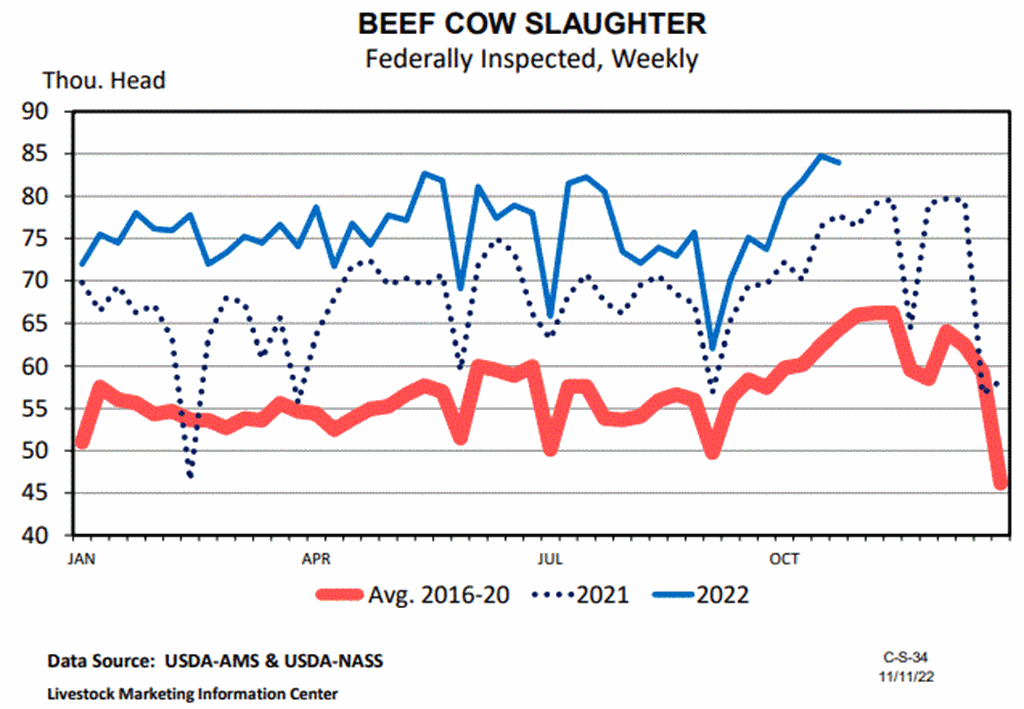 Beef Cow Slaughter & Cull Cow Values