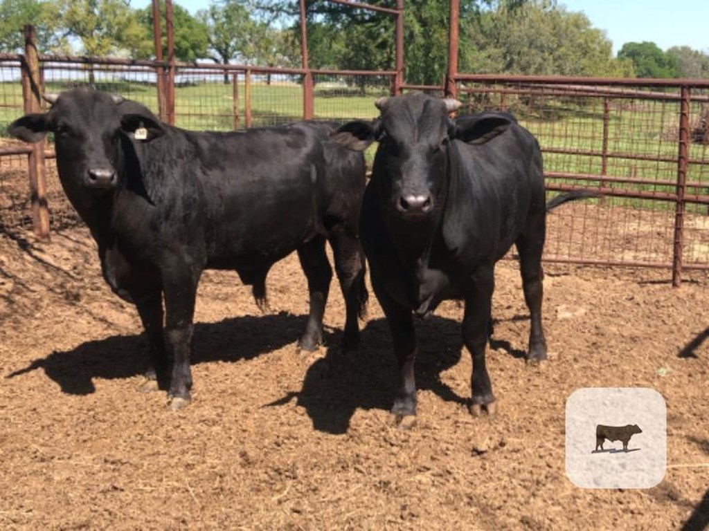 Cattle Range Listing Photo