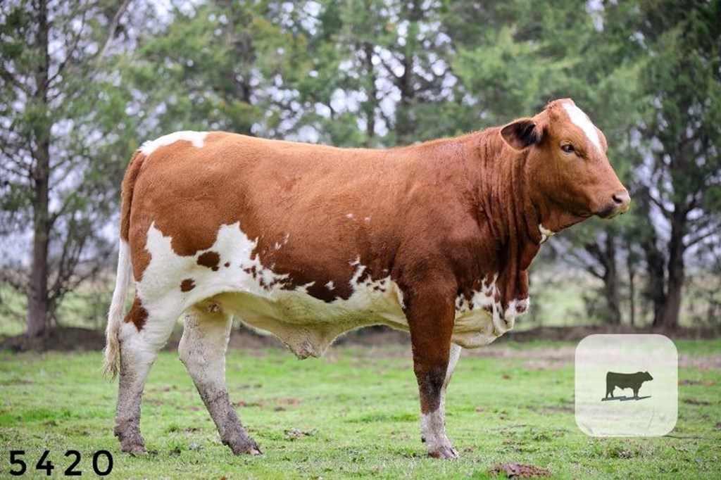 Cattle Range Listing Photo