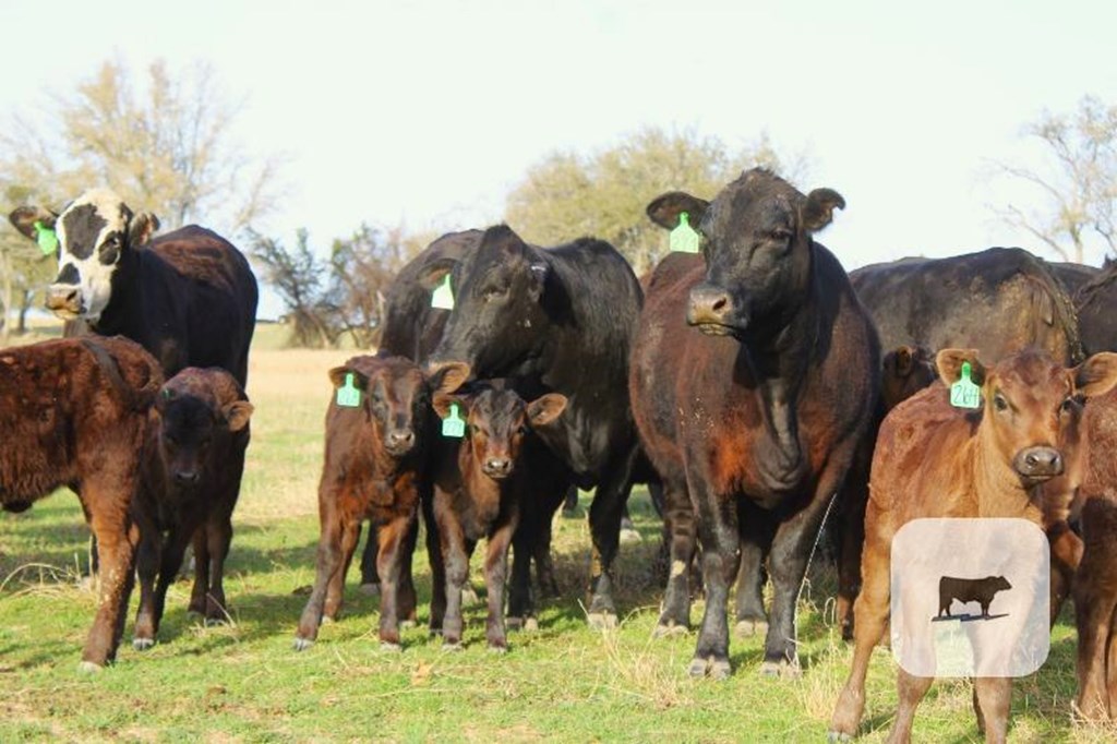 Cattle Range Listing Photo