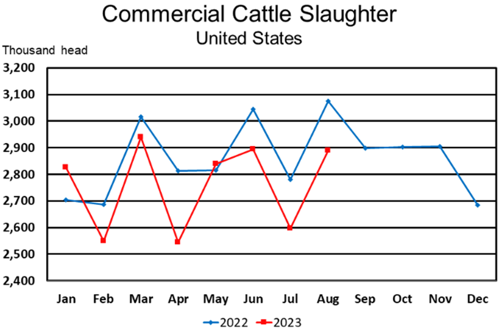Commercial Red Meat Production Down 3 Percent; Beef Down 6 Percent