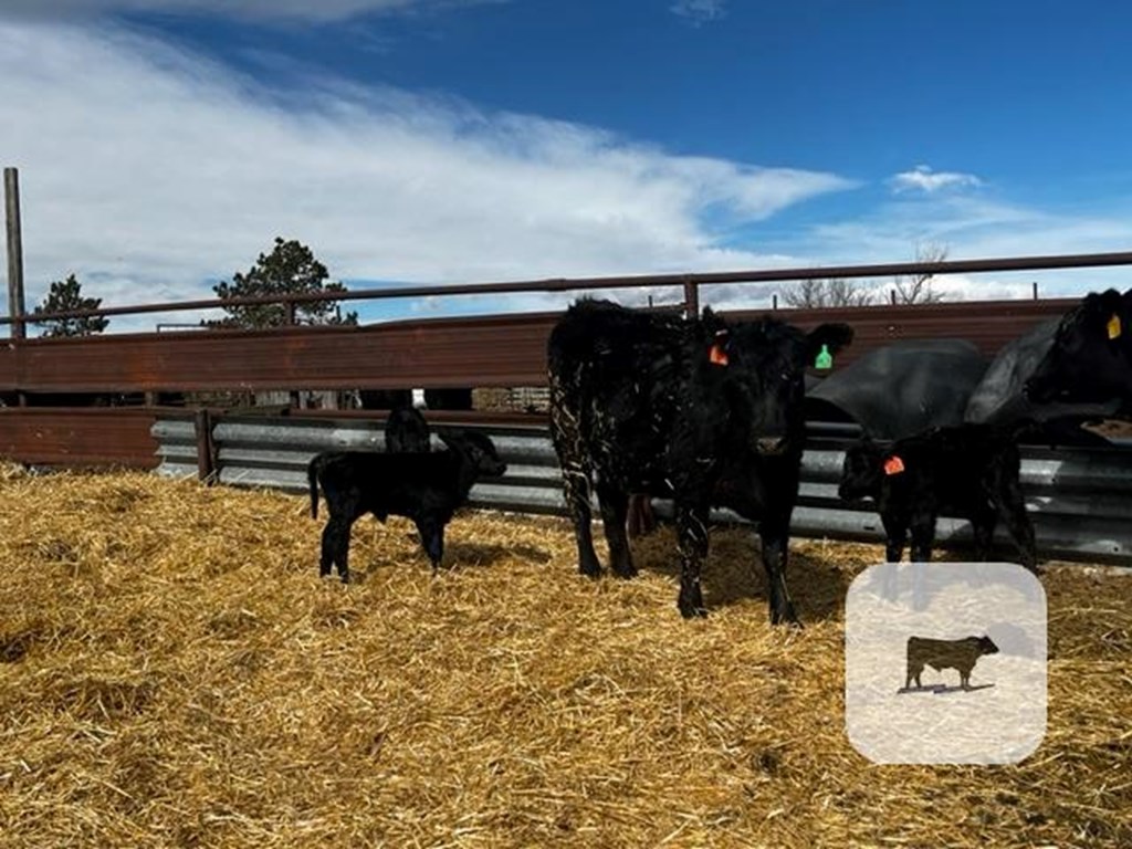 Cattle Range Listing Photo