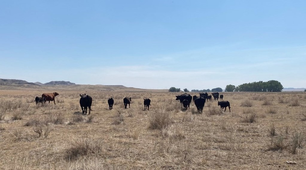 It’s always been lean on the Great Plains, but this time feels different