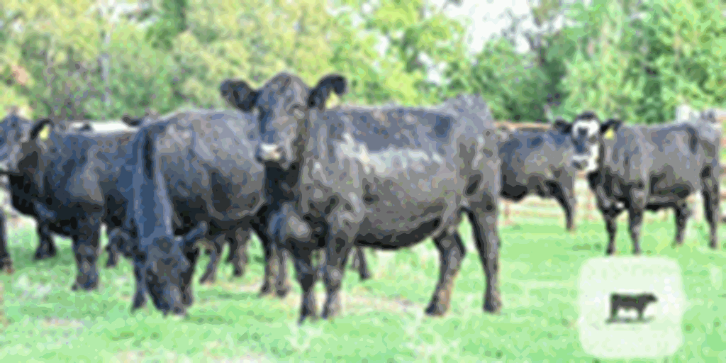 Listings Cattle Range