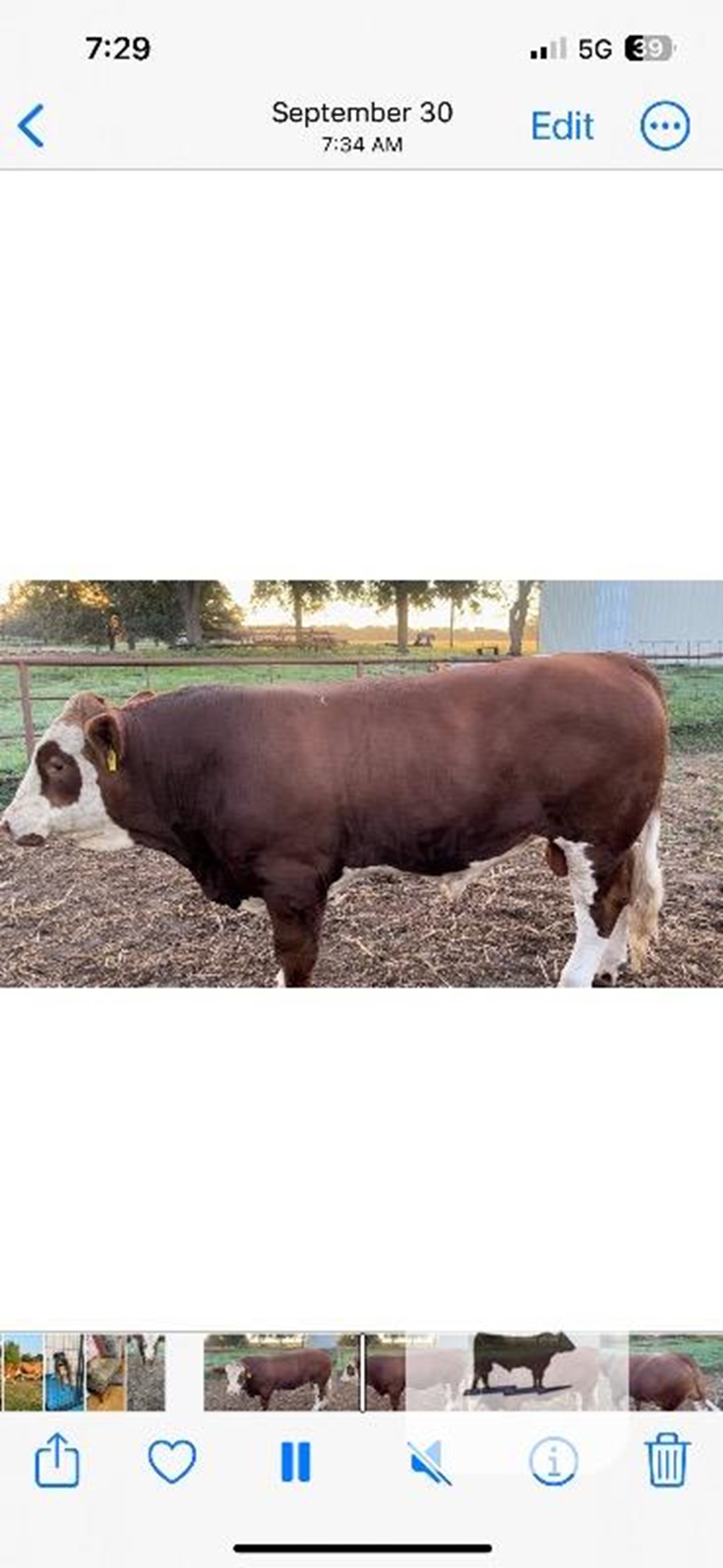 Cattle Range Listing Photo