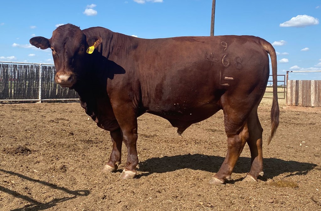 Cattle Range Listing Photo