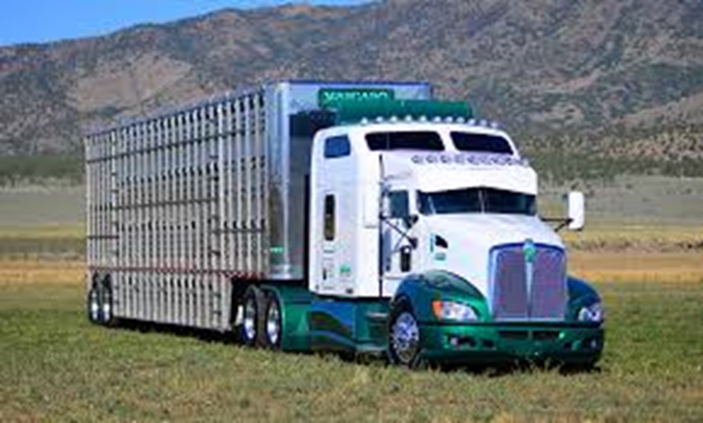 FMCSA extends Livestock Haulers’ Hours-of-Service Exemptions