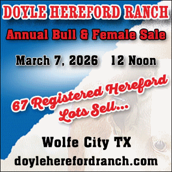 Doyle Hereford Ranch Annual Spring Bull & Female Sale