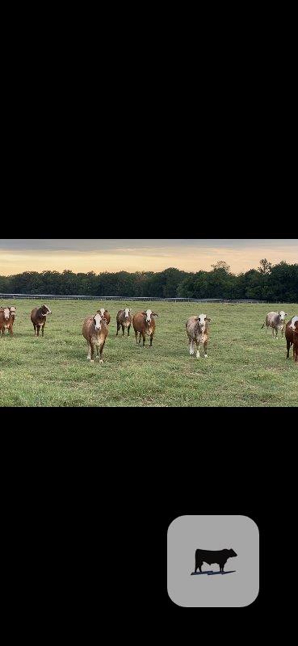 Cattle Range Listing Photo