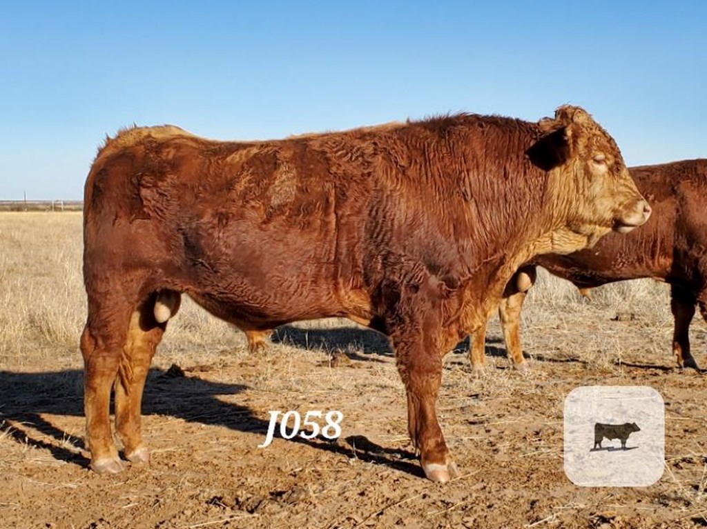 Cattle Range Listing Photo