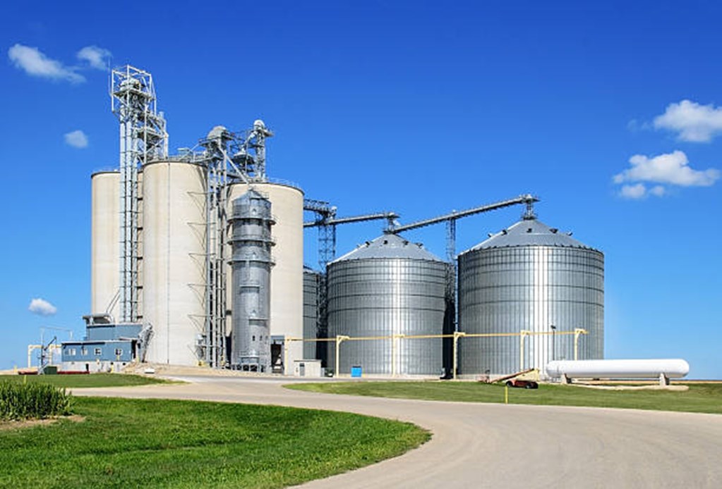 March USDA Grain Stocks Report: Corn Stocks Down 5 Percent from March 2022