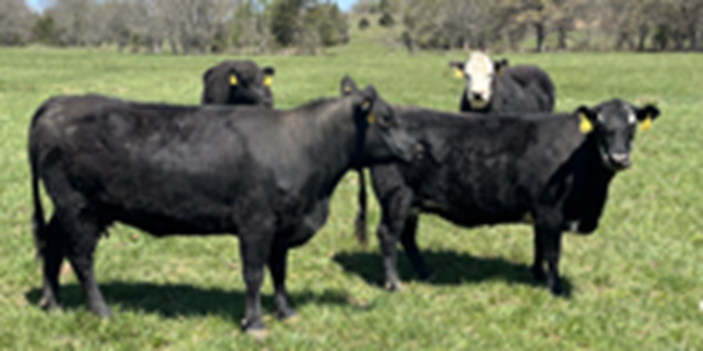 Listings Cattle Range