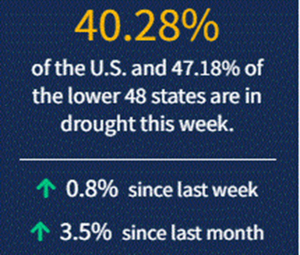 August 19th: This week’s Drought Monitor Map