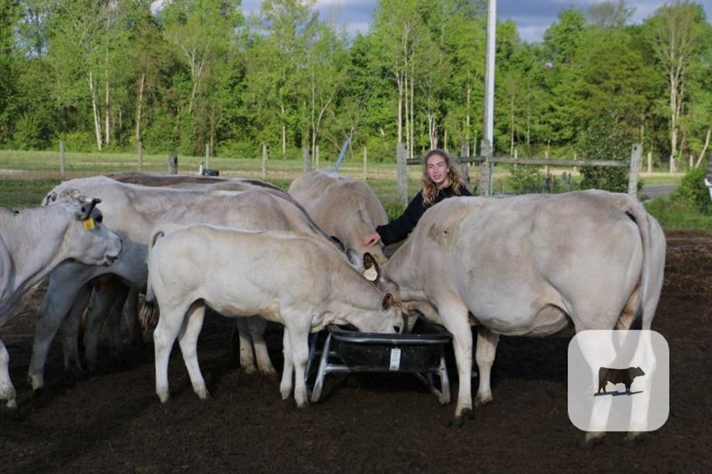 Cattle Range Listing Photo