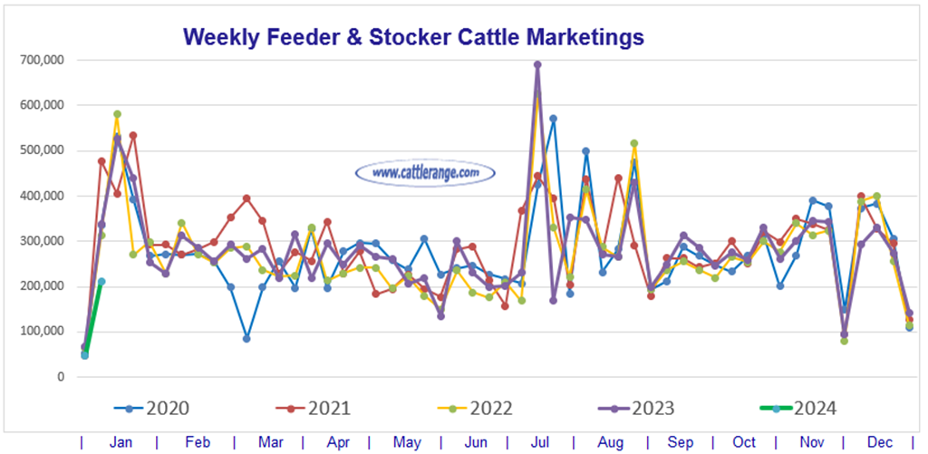 Feeder & Stocker Cattle Marketings for the week ending 1/6/24 Cattle Range