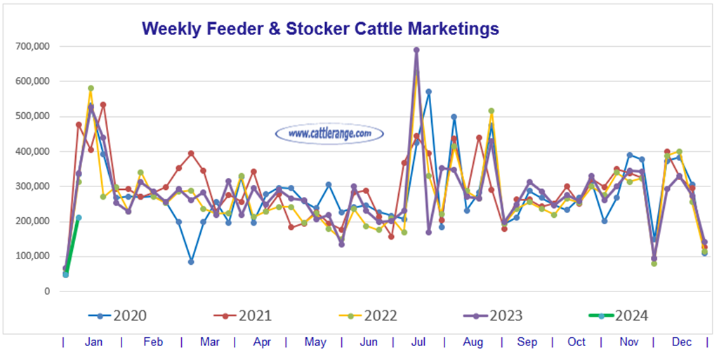 Feeder & Stocker Cattle Marketings for the week ending 1/6/24