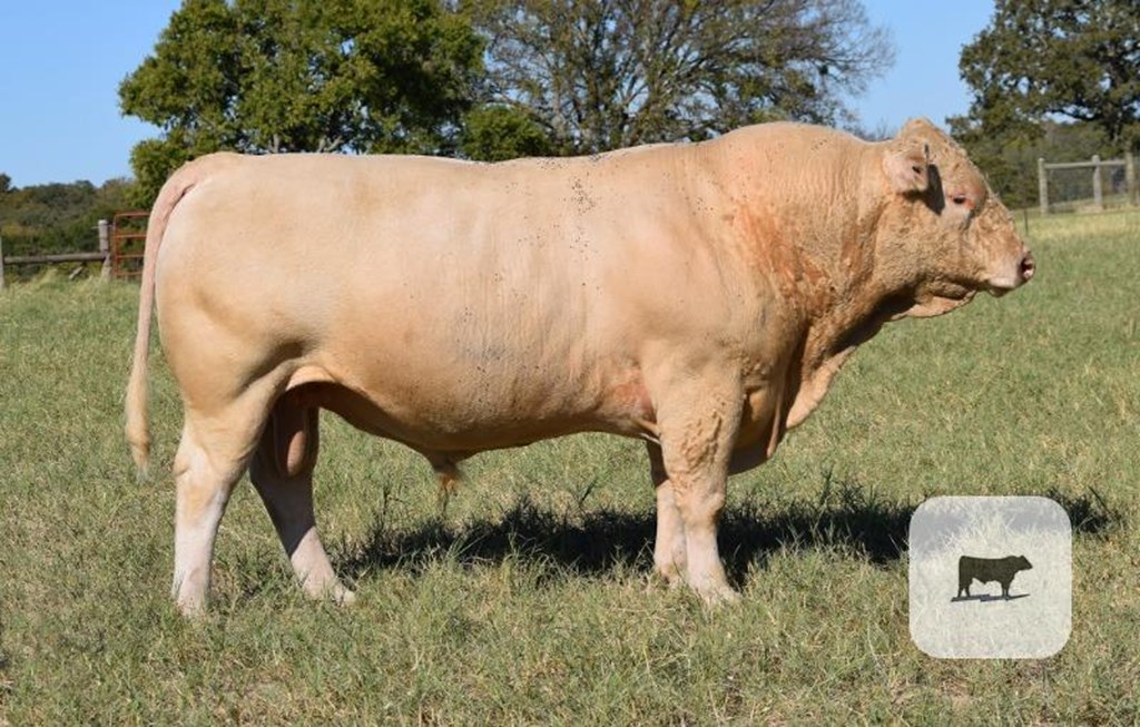 Cattle Range Listing Photo