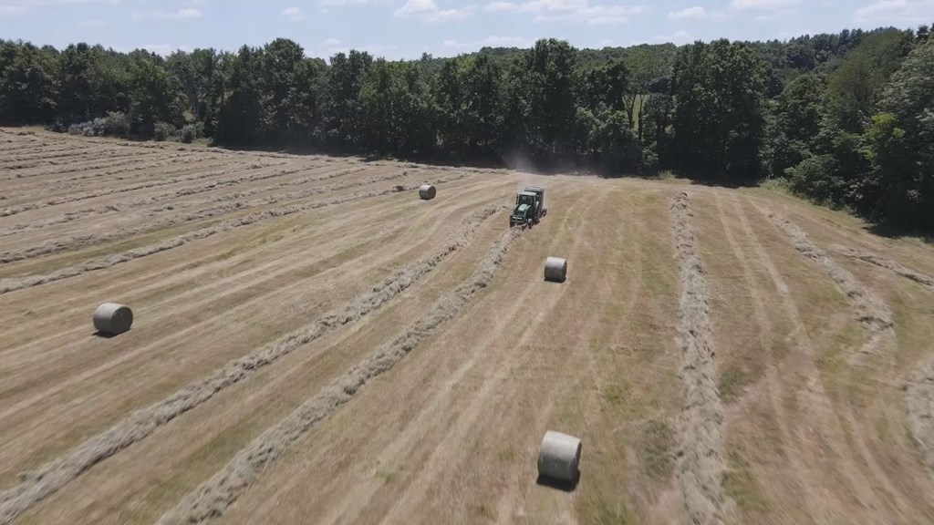 Missouri ranchers say they need more rain soon to avoid drastic steps