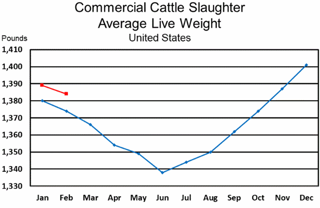 March USDA Livestock Slaughter Report