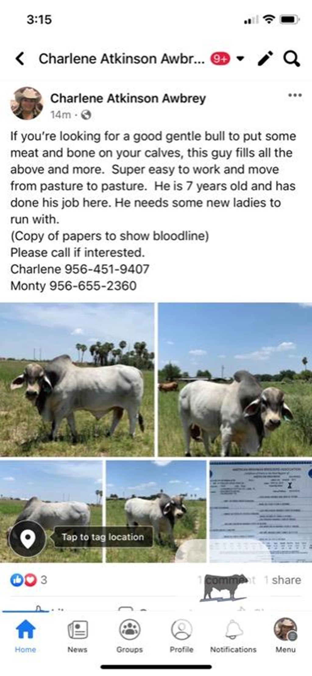 Cattle Range Listing Photo