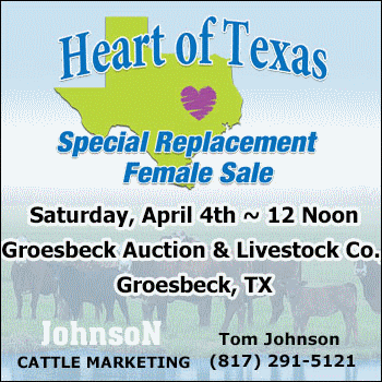 Heart of Texas Special Replacement Female Sale