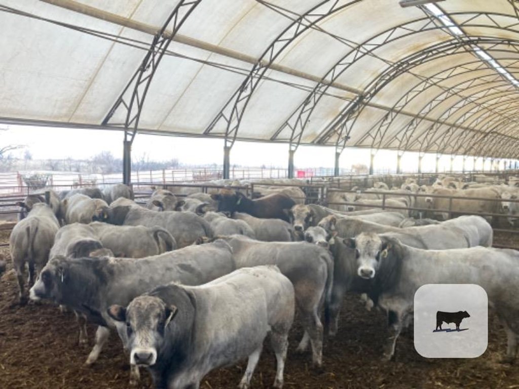 Cattle Range Listing Photo