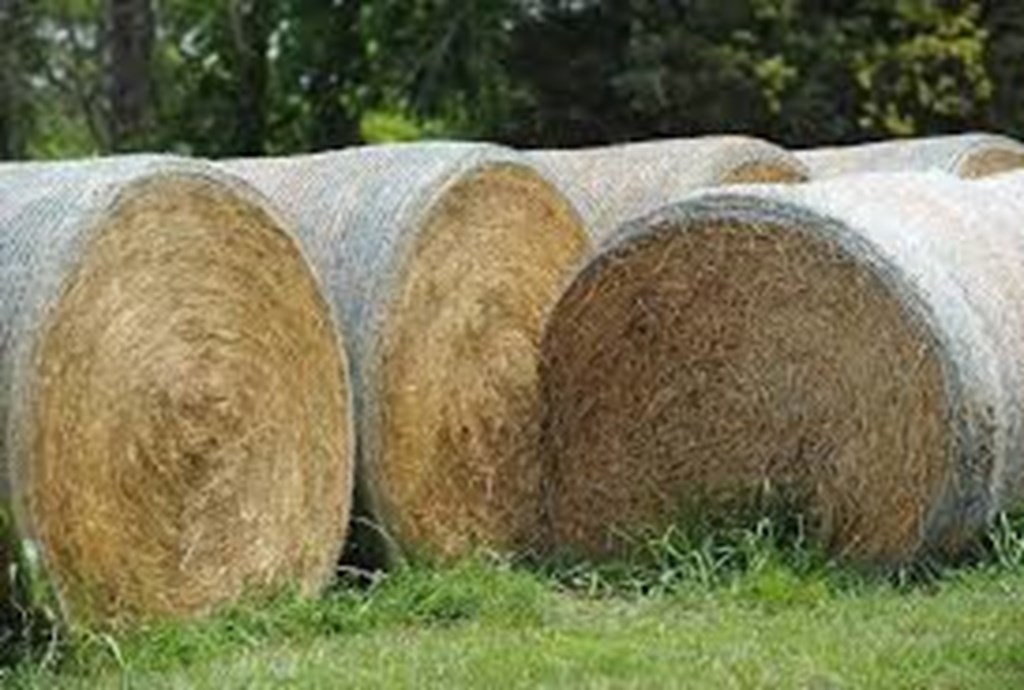 The Importance of Testing Hay Quality