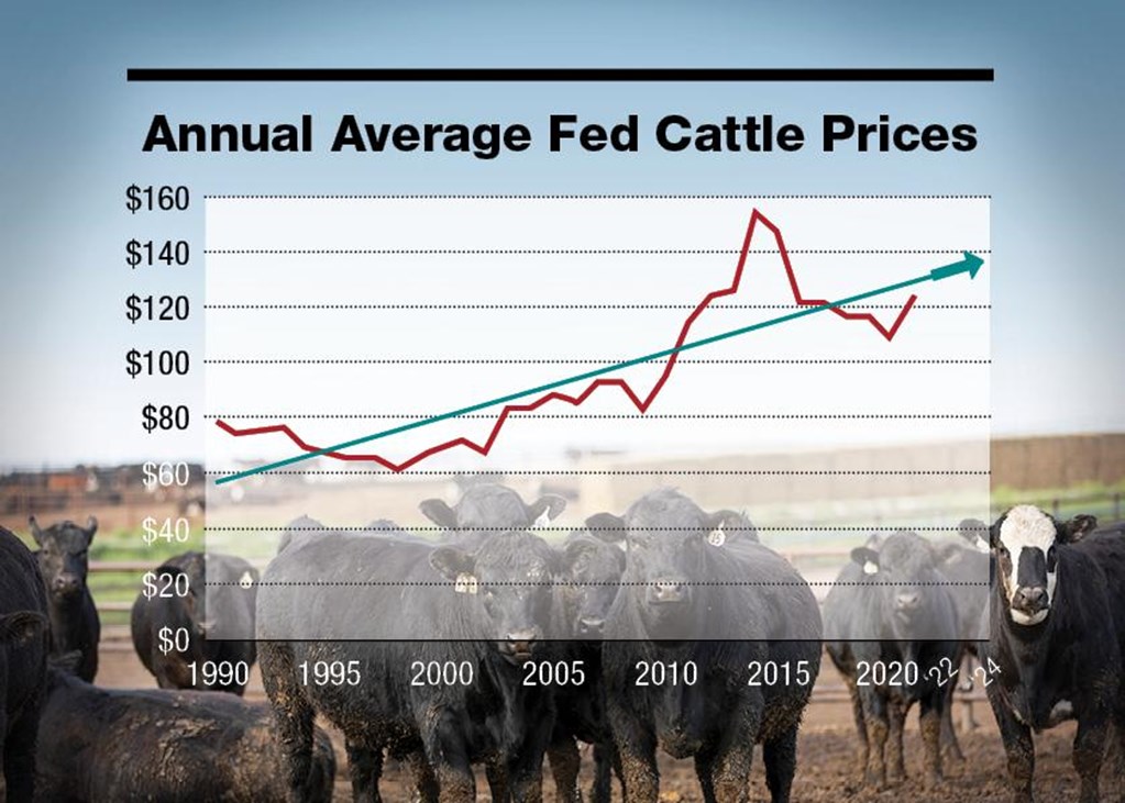 Here’s Why Fed Cattle Prices Could Reach $180 by 2024