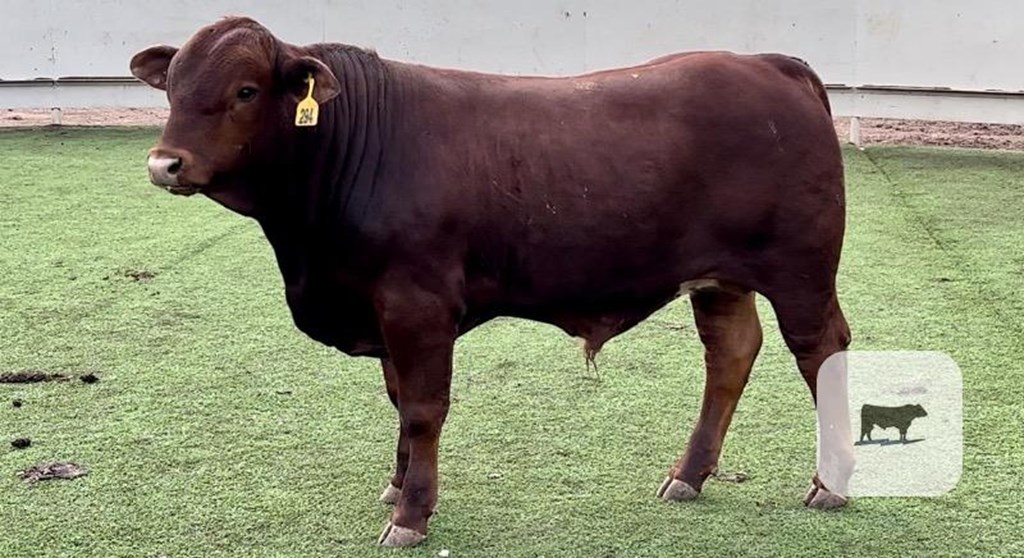 Cattle Range Listing Photo