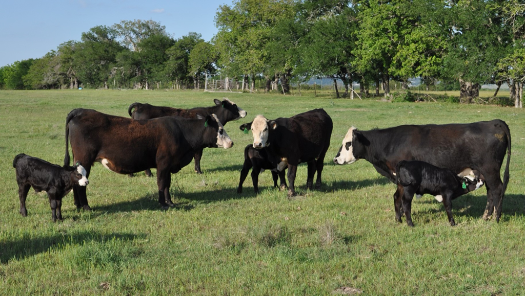 Pasture & Range Conditions as of 5/28/23