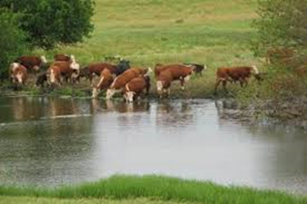 Administrator Zeldin Announces EPA Will Revise Waters Of The U.S. Rule
