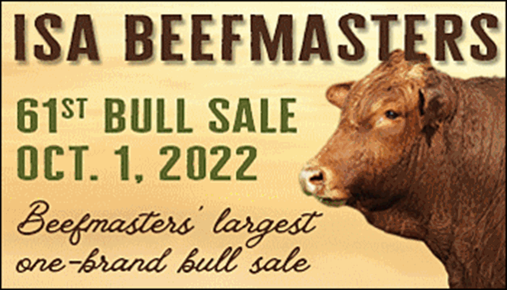 SS-ISA Beefmasters 61st Bull Sale-10-01-2022