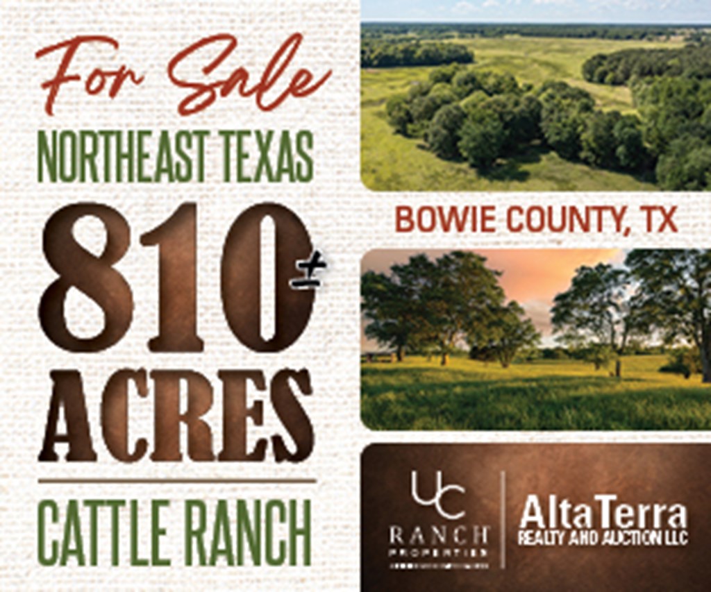 Northeast Texas Ranch For Sale In Bowie County Texas