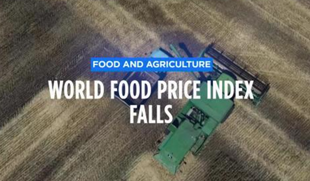 Benchmark for World Food Commodity Prices fall for the Twelfth Month in a Row