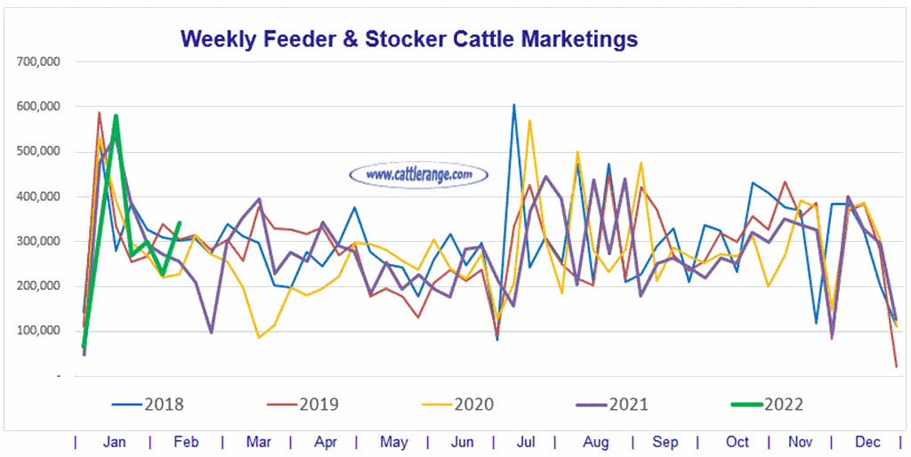 Weekly Feeder & Stocker Cattle Marketings for week ending 02/12/22