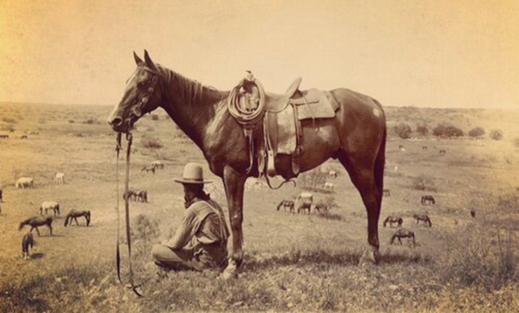 Lonesome Lands: Control of the Cattle Industry through Electronic ID Tags