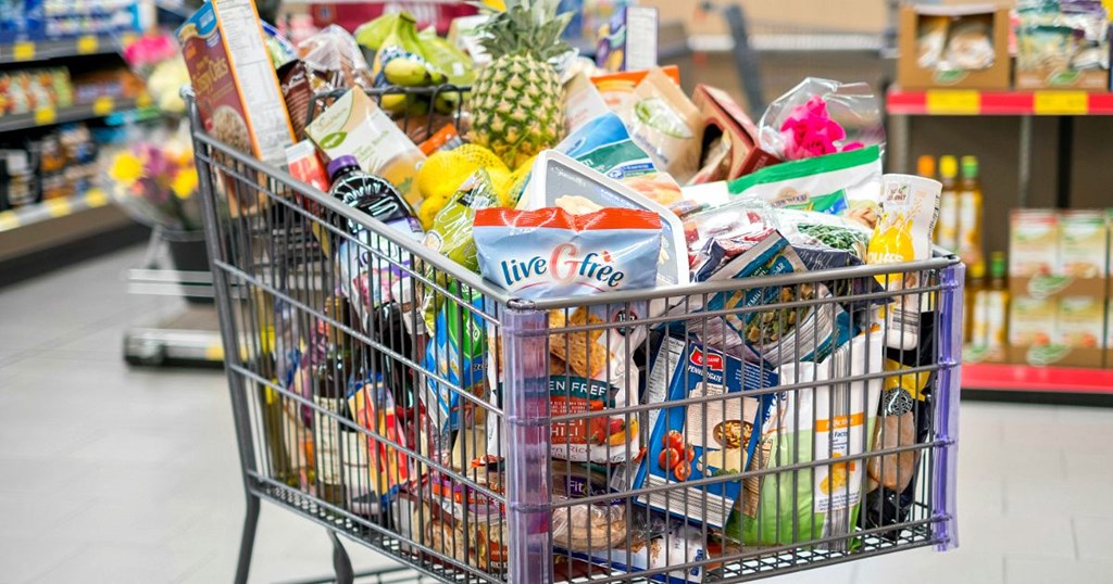 Grocery Price Increases Largest since 2008