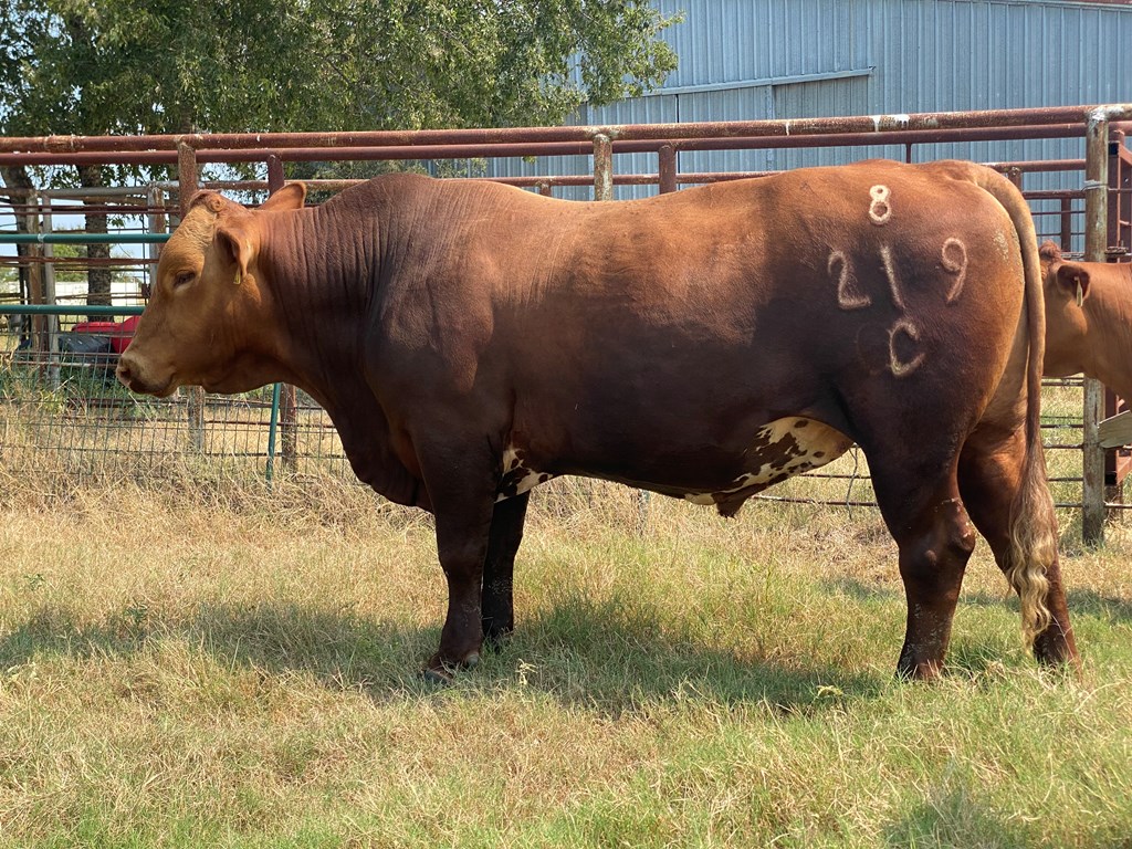 Cattle Range Listing Photo