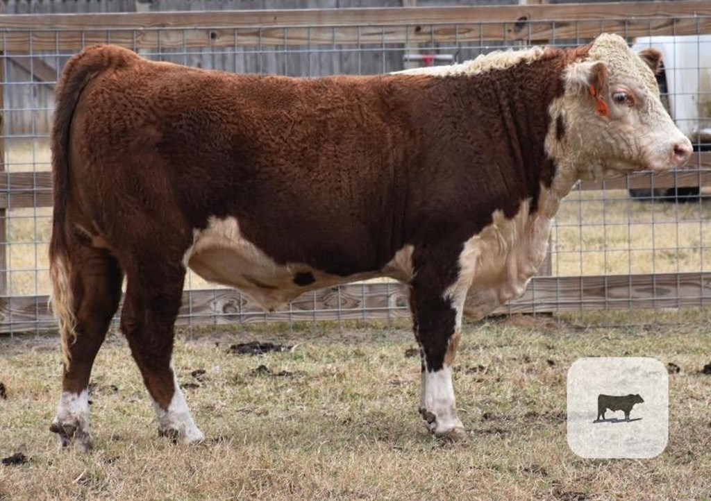 Cattle Range Listing Photo