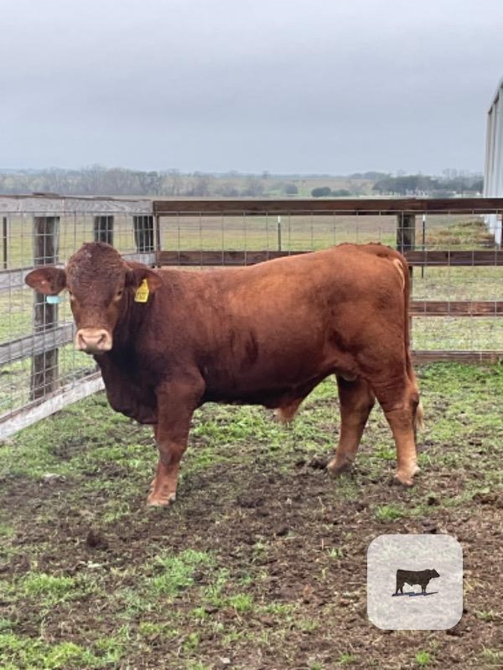 Cattle Range Listing Photo