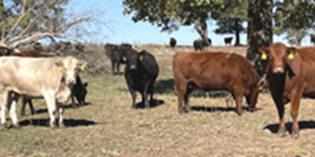 Listings Cattle Range