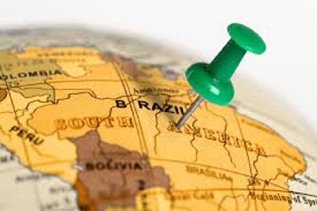 Brazil investigates suspected Mad Cow Disease Case