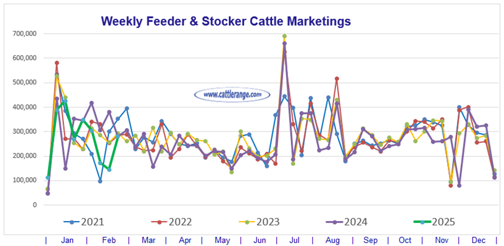 Feeder & Stocker Cattle Marketings for the week ending 3/1/25