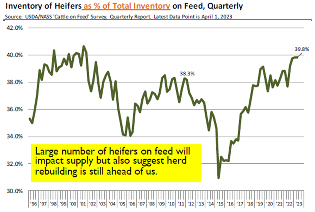 Placements were the Biggest Surprise in Friday’s Cattle on Feed Report