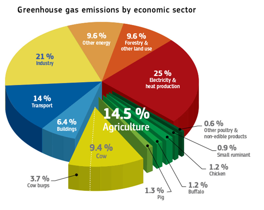 U.S. & European Union Announce Methane Reduction Effort